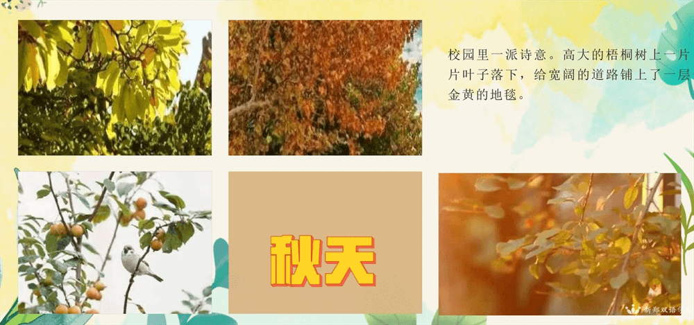 微信截图_20240828165459.png