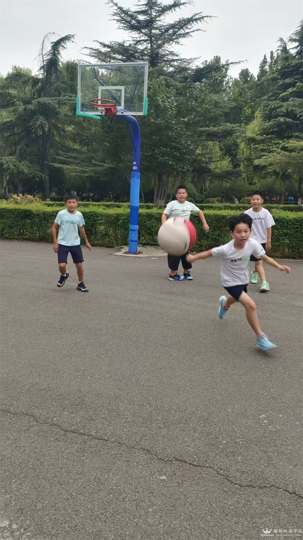 微信图片_20240903183920.jpg